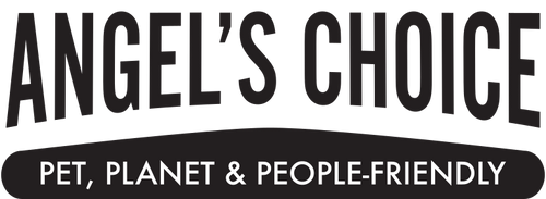 Angel's Choice