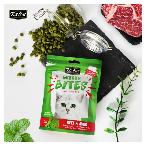 Kit Cat BreathBites - Beef Flavour