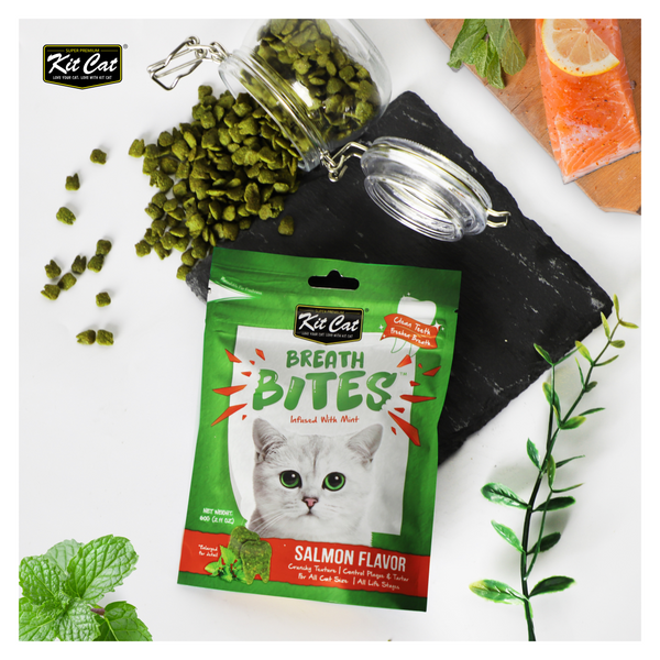 Kit Cat BreathBites - Salmon Flavour