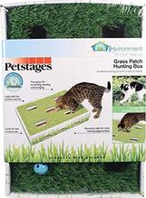 Petstages® Grass Patch Hunting Patch